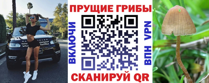 дарк нет наркотические препараты  МЕГА зеркало  Белогорск  Галлюциногенные грибы мухоморы 