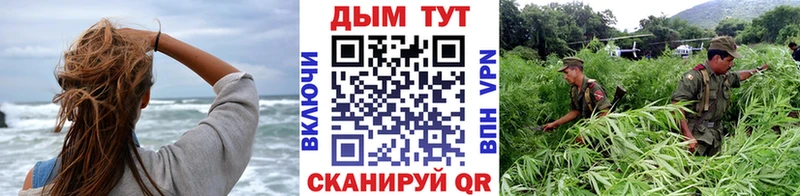 Бошки марихуана ГИДРОПОН  Белогорск 